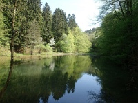 GTW-170517 Arboretum 10  Teich im Burgholzbach-Tal